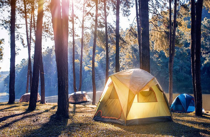 Best Places to Go Camping in Los Angeles